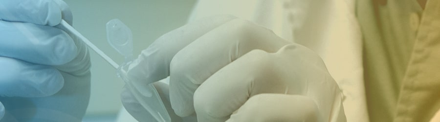 Cevhan CEVHAN | Centro de Virología Humana y Animal (Consejo Nacional d